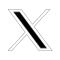 X/Twitter